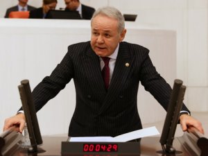 İYİ Partili Sezgin, flamingo ölümlerini Meclis gündemine taşıdı
