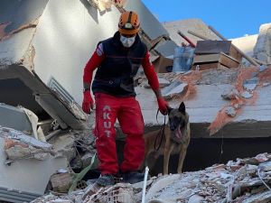 Depremin kahraman köpeği Bob’un ismi Kuşadası’nda parka verildi