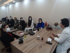 MHP heyetinden Mardin çıkarması