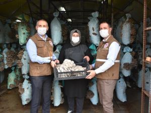 Genç Çiftçi Projesinden destek aldı kendi işinin sahibi oldu