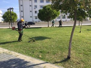 Didim’de parkların bakımı devam ediyor