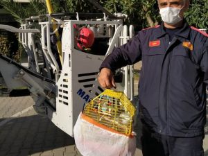 Hasarlı binadaki muhabbet kuşunu itfaiye ekipleri kurtardı