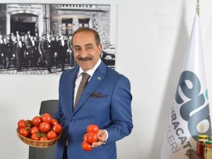 Domates ürün grubunda sene sonu hedefi 650 milyon dolar