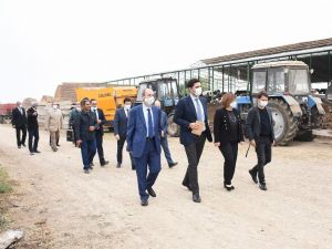 Azerbaycan Agrar Sigorta Fonu ilk poliçesini düzenledi