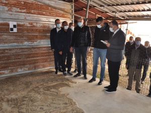 Vali Çelik’ten  ‘Mozaikli Ev-Arkeopark’ projesine destek