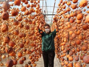 40 kiloyla başladı bu yıl hedefi 15 ton