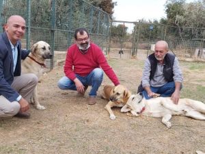 Datça’da can dostlara anlamlı bağış