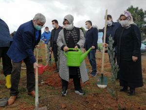 Sancaktepe’li öğrenciler toprağa fidan dikerek geleceğe nefes oldu