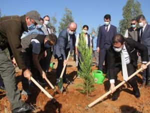 Fethiye’de “Geleceğe Nefes” olacak fidanlar toprakla buluştu