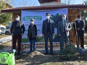 Pazarlar, Geleceğe Nefes için 200 fidan dikti