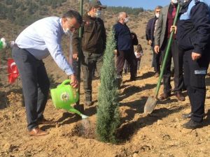 Gelecek için fidan diktiler