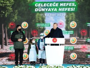 Bakan Pakdemirli: "Orman varlığımızı 20,8 milyon hektardan 22,7 milyon hektar alana ulaştırdık"