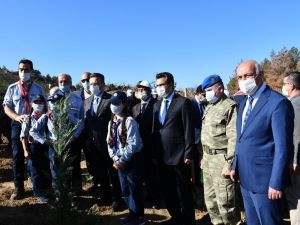 Söke’de eylül ayında yanan alanlar yeniden ağaçla buluşuyor
