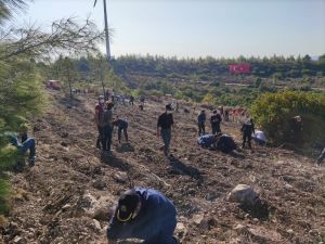 Datça’da 2 bin fidan toprakla buluştu