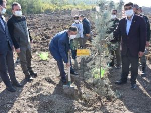 Şehzadeler’de geleceğe nefes olacak fidanlar toprakla buluştu
