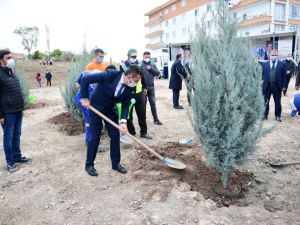 Altındağ’a bir orman daha