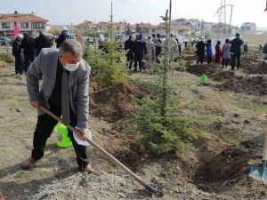 Kütahya il genelinde 241 bin 300 fidan toprakla buluştu