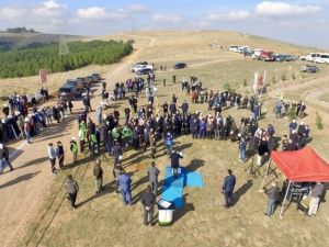 Afyonkarahisar’da 35 bin fidan toprakla buluştu