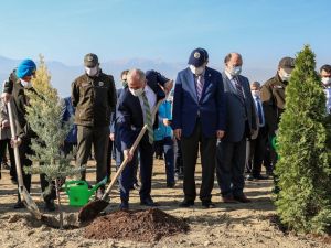 Denizli’de 31 bin 900 fidan toprakla buluşuyor