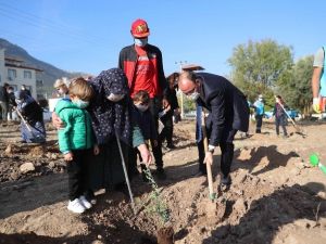 Pamukkale Belediyesinden Milli Ağaçlandırma Günü’ne destek