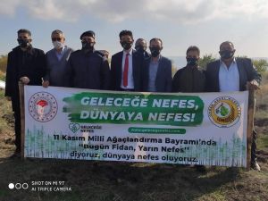 Şuhut’ta 500 fidan toprakla buluştu