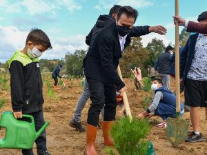 Tuzla Belediyesi 600 adet  fidan dikti