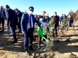 ADÜ Rektörü Aldemir Söke’deki ağaç dikme etkinliğine katıldı