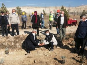 Hisarcık’ta maden sahaları lavanta kokacak