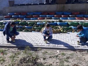 Öğrenciler tohumları toprakla buluşturdu