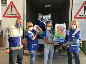 Bayraklı’da depremden etkilenen sokak hayvanlarına 1 buçuk ton kuru mama