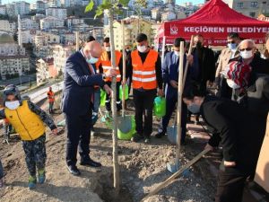 Keçiören’de fidanlar toprakla buluştu