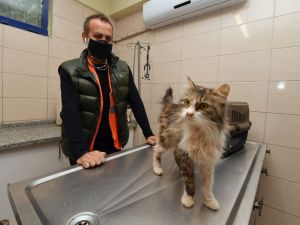 Depremzede kediyi Haluk Levent sahiplendi
