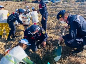Kuşadası’nda 250 adet fidan dağıtımı yapıldı