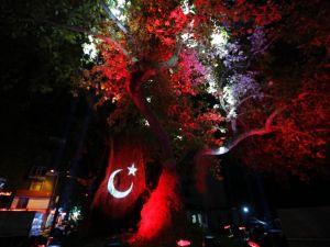Küçükçekmece Belediyesi’nden “Park" iddialarına açıklama