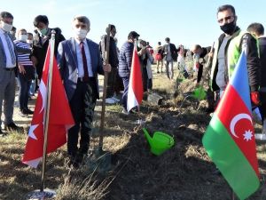 DPÜ’lü uluslararası öğrenciler 500 selvi fidanını toprakla buluşturdu