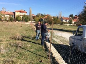 Dumlupınar’a hayvan pazarı