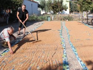 Organik susam ve haşhaş ezmesine talep arttı