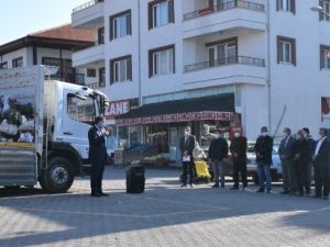 Nallıhanlı üreticilere lavanta fidesi dağıtımı devam ediyor