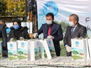 Başkan Ayık, Akyurtlulara fidan dağıttı