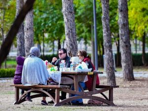 Çubuk-1 Barajı Rekreasyon Alanı, Başkentlilerin yeni gözdesi oldu