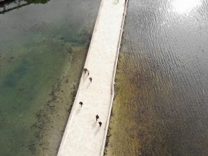 İstanbul barajlarındaki su kalitesi alarm veriyor