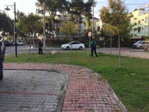Didim’de yeşil alanlarda bakım çalışmaları sürüyor