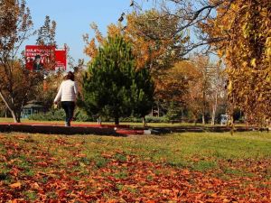 Çankaya parklarında sonbahar keyfi
