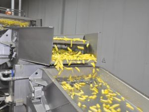 Yıllık 25 bin ton patates işliyorlar