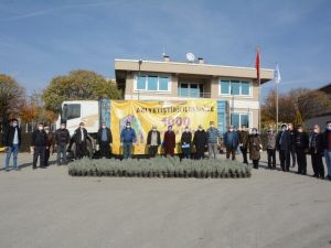 Lavantalar arıcılarla buluştu