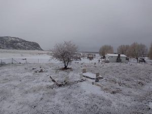 Seydikemer’e yılın ilk karı düştü