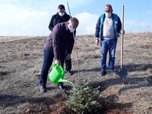 Kütahya’da Adalet Ormanı’na 300 fidan dikildi