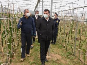 Kaymakam Şahin, ’Efeler Diyarında Pitaya’ Projesi kapsamında üreticilerle bir araya geldi