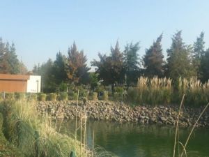 Atatürk Kent Park’ta kış bakımı