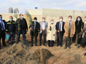ASKİ 2 bin fidanı toprakla buluşturuyor